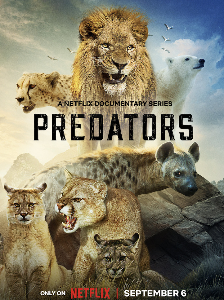 ‘Predators’: a Superb Netflix Series About Animals Struggling for Survival
