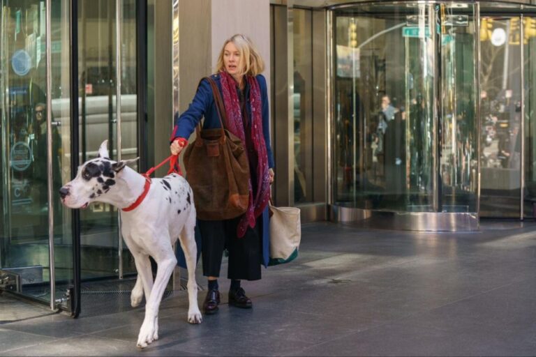 NYFF: ‘The Friend’ Video Review – Naomi Watts Shares the Screen with a Great Dane