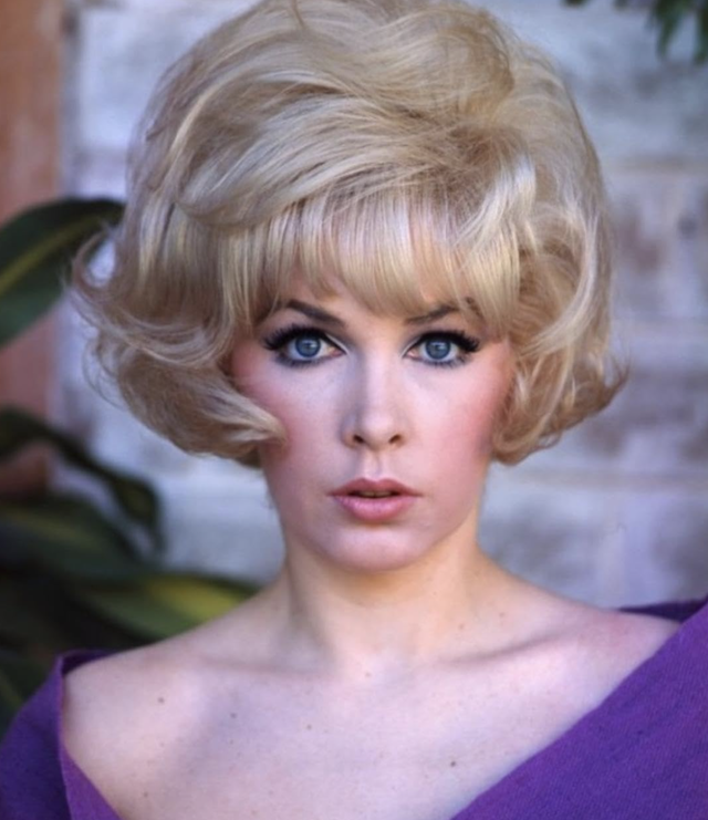 Stella Stevens The Last Starle