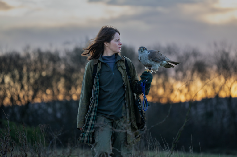 ‘H is For Hawk’ Conveys The Therapeutic Effects Of Wildlife