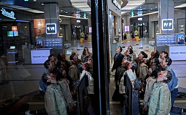 Colony