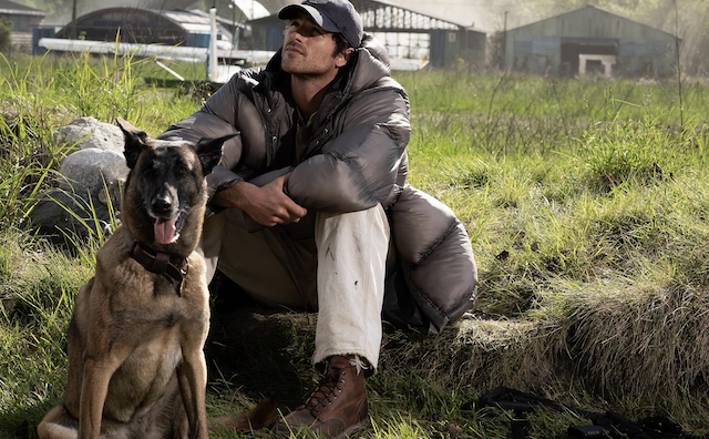 The Dog Stars