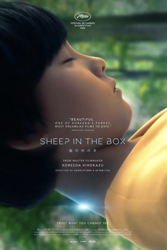 Sheep in the Box 